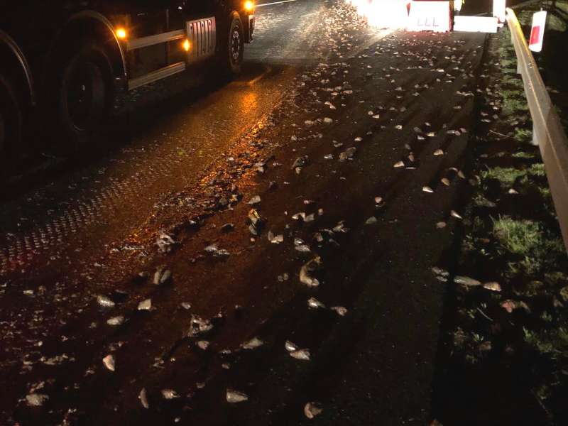 200 kg odpadów rybnych wylało się w nocy na drodze S6