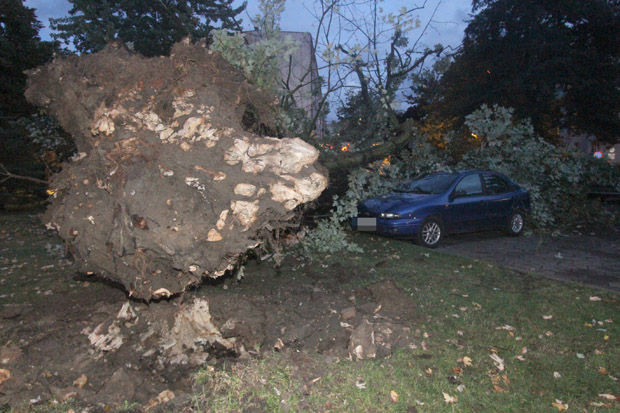Wiatr przewrócił drzewo na samochody
