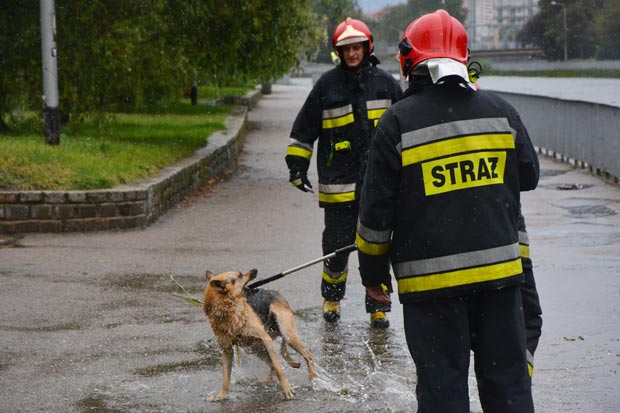 Strażacy uratowali psa w Parsęcie