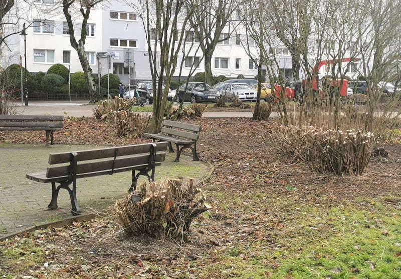 park baszta prochowa kołobrzeg wycinka modernizacja zieleni